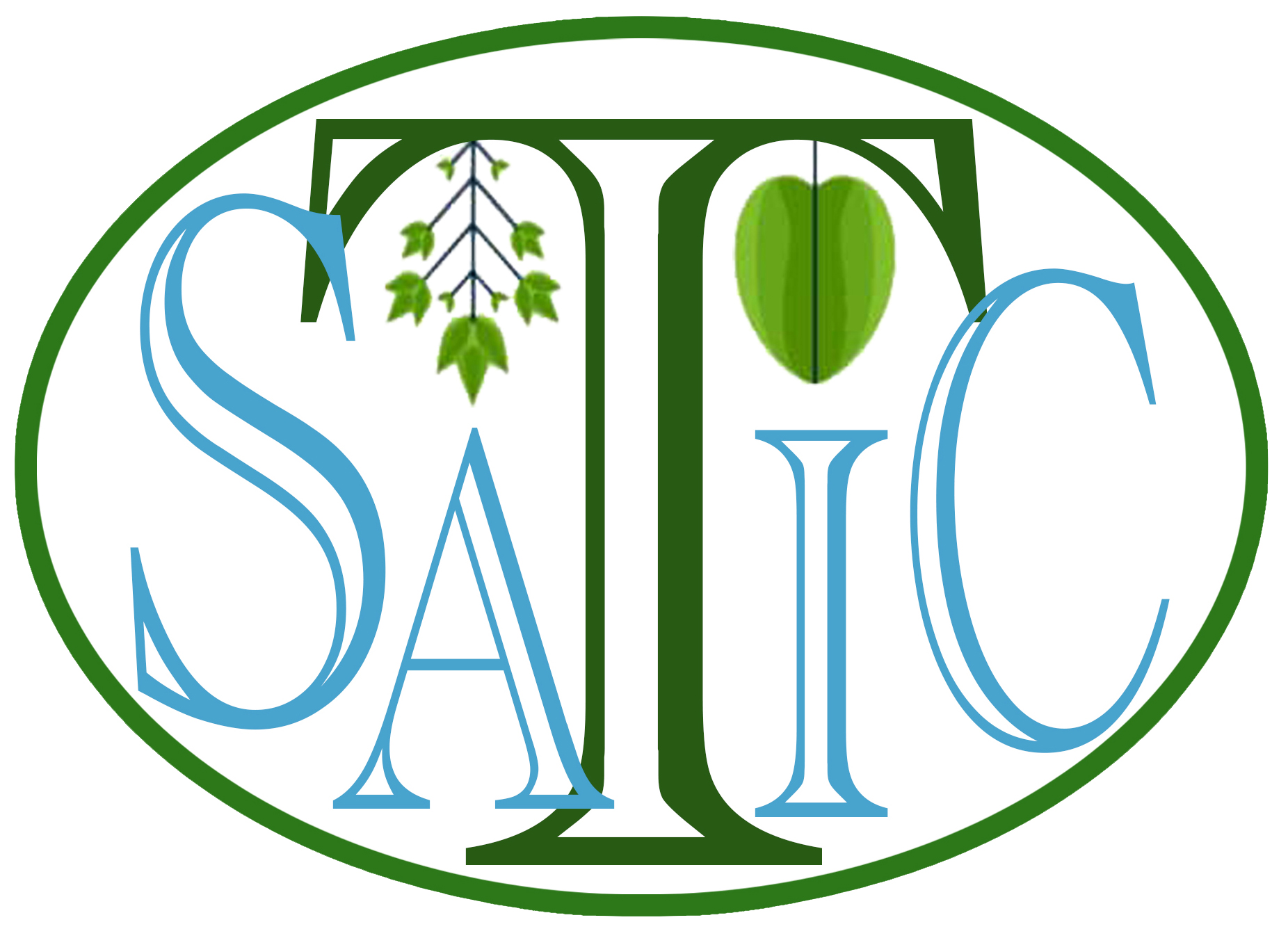 SATIC Logo